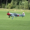Degerfeld 2011