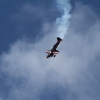 Degerfeld 2011