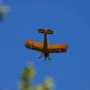 Flugplatzfest LSV Degerfeld 28.08.08.2010
