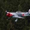 Flugplatzfest LSV Degerfeld 28.08.08.2010