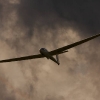Flugplatzfest LSV Degerfeld 28.08.08.2010