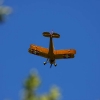 Flugplatzfest LSV Degerfeld 28.08.08.2010