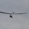 Flugplatzfest Fliegergruppe Blaubeuren e.V. 04.09.2016