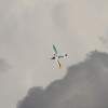 Flugplatzfest FLG Blaubeuren e.V 2014