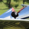 Flugplatzfest FLG Blaubeuren e.V 2014