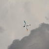 Flugplatzfest FLG Blaubeuren e.V 2014