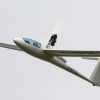 Flugplatzfest FLG Blaubeuren e.V 2014