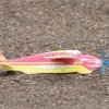 Flugplatzfest Fliegergruppe Heubach e.V. 04.07.2010