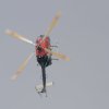 Flugplatzfest Hohenems