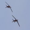 Flugplatzfest Hohenems