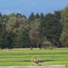 Flugplatzfest Hohenems