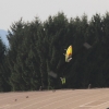 Flugplatzfest Hohenems