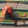 Flugplatzfest Hohenems