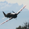 Flugplatzfest Hohenems