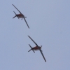Flugplatzfest Hohenems