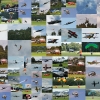 Flugplatzfest Illertissen 19.06.2011