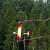 Flugplatzfest Degerfeld 01.09.2013