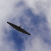 Flugplatzfest Degerfeld 26.08.2012