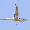 Flugplatzfest Luftsportverein Degerfeld 26.08.2017