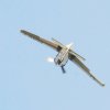 Flugplatzfest Luftsportverein Degerfeld 26.08.2017