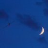 Flugplatzfest Luftsportverein Degerfeld 26.08.2017