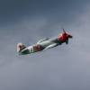 Flugplatzfest LSV Degerfeld 2011