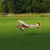 Flugplatzfest LSV Degerfeld 2011