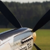Flugplatzfest Degerfeld 28.08.2015