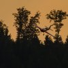 Flugplatzfest Degerfeld