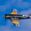 Flugplatzfest Degerfeld
