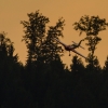 Flugplatzfest Degerfeld