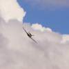 Flugplatzfest Luftsportverein Degerfeld 2014