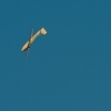 Flugplatzfest Hülben
