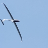 Flugplatzfest Fliegergruppe Hülben e.V. 2014