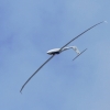 Flugplatzfest Fliegergruppe Hülben e.V. 2014