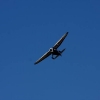 Flugplatzfest Mühlacker