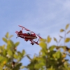 Flugplatzhock 2021