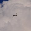 Flugplatzhock mit Modellflugvorführung Hülben 30.07.2016