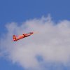 Flugplatzhock mit Modellflugvorführung Hülben 30.07.2016