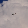 Flugplatzhock mit Modellflugvorführung Hülben 30.07.2016