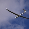 Flugplatzhock mit Modellflugvorführung Hülben 30.07.2016