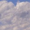 Flugplatzhock mit Modellflugvorführung Hülben 30.07.2016