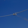 Flugplatzhock mit Modellflugvorführung Hülben 30.07.2016