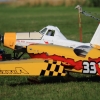 Flugplatzhock mit Modellflugvorführung Hülben 30.07.2016