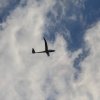 Flugplatzhock mit Modellflugvorführung Hülben 30.07.2016