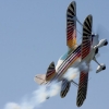1dfh-hayingen09-002