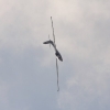 1dfh-hayingen09-005