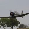 1dfh-hayingen09-044