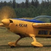 Flugtag Musbach