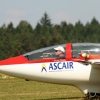 Flugtag Musbach